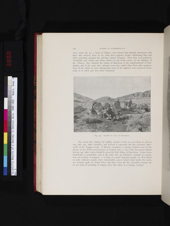 Scientific Results of a Journey in Central Asia, 1899-1902 : vol.3 : Page 478
