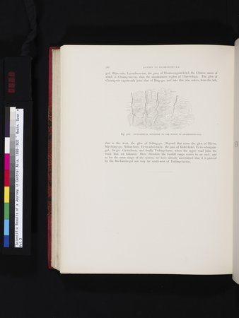 Scientific Results of a Journey in Central Asia, 1899-1902 : vol.3 : Page 562