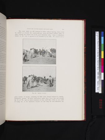 Scientific Results of a Journey in Central Asia, 1899-1902 : vol.3 : Page 745