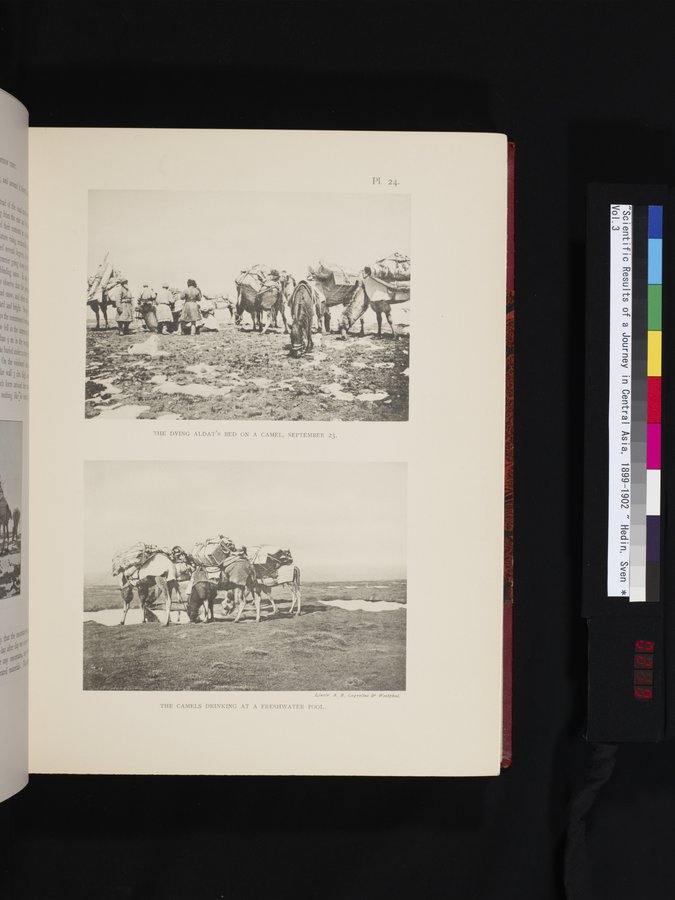 Scientific Results of a Journey in Central Asia, 1899-1902 : vol.3 / 219 ページ（カラー画像）