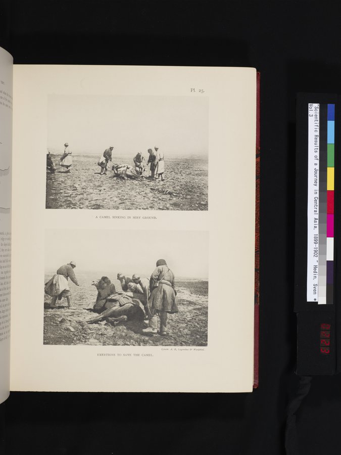 Scientific Results of a Journey in Central Asia, 1899-1902 : vol.3 / 223 ページ（カラー画像）