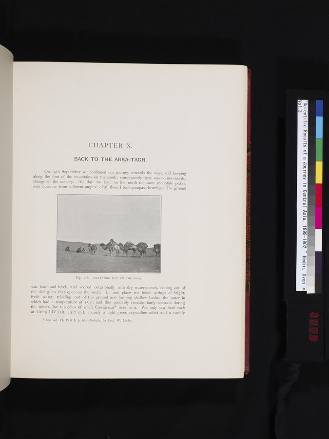 Scientific Results of a Journey in Central Asia, 1899-1902 : vol.3 / 229 ページ（カラー画像）