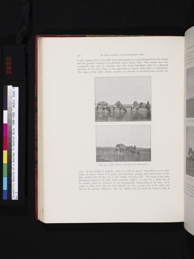 Scientific Results of a Journey in Central Asia, 1899-1902 : vol.3 / 258 ページ（カラー画像）