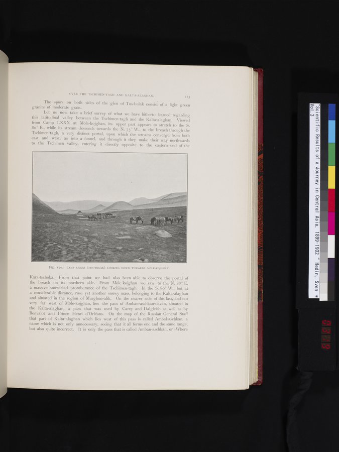 Scientific Results of a Journey in Central Asia, 1899-1902 : vol.3 / 319 ページ（カラー画像）