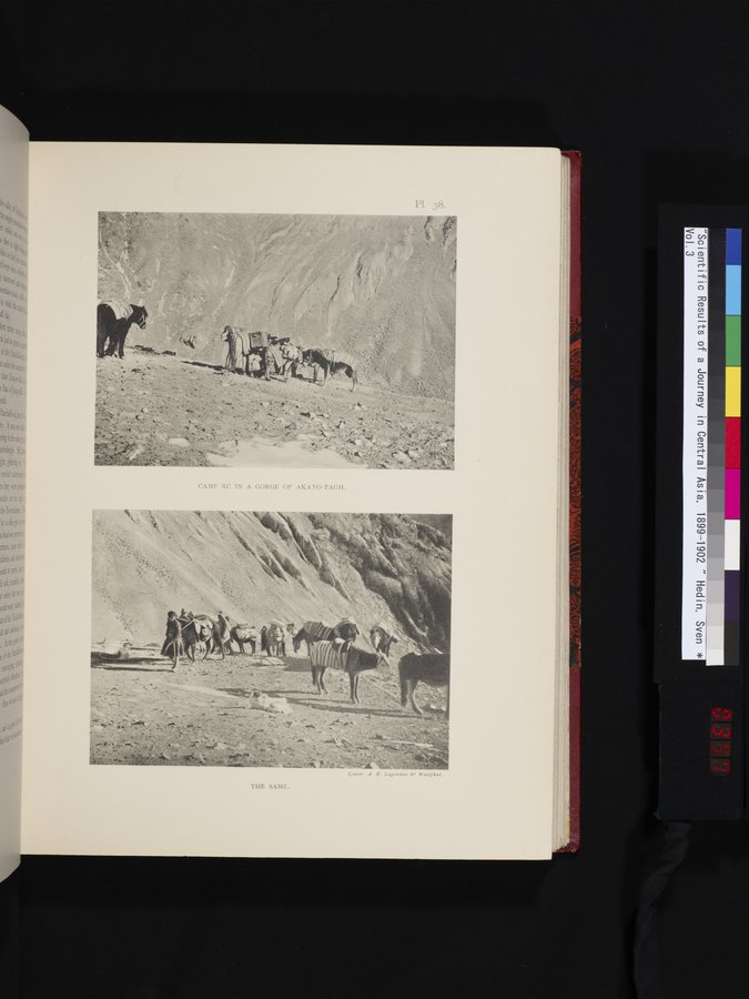Scientific Results of a Journey in Central Asia, 1899-1902 : vol.3 / 357 ページ（カラー画像）