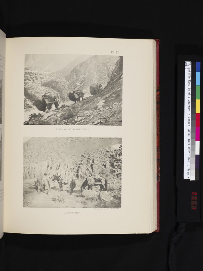 Scientific Results of a Journey in Central Asia, 1899-1902 : vol.3 / 511 ページ（カラー画像）