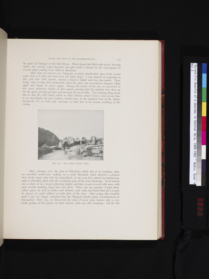 Scientific Results of a Journey in Central Asia, 1899-1902 : vol.3 / 541 ページ（カラー画像）
