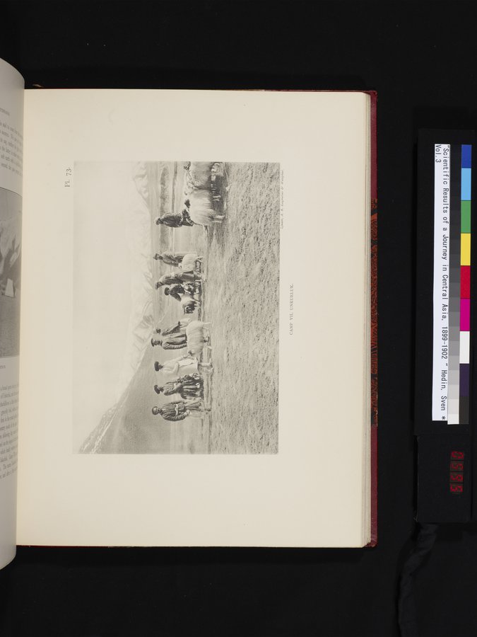 Scientific Results of a Journey in Central Asia, 1899-1902 : vol.3 / 595 ページ（カラー画像）