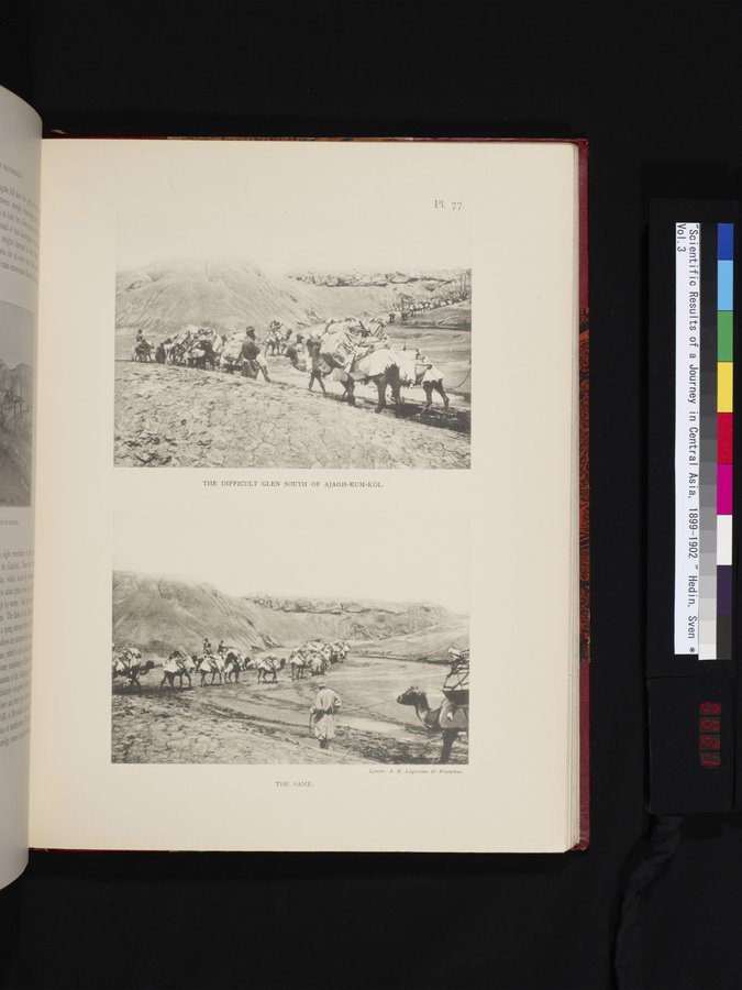 Scientific Results of a Journey in Central Asia, 1899-1902 : vol.3 / 621 ページ（カラー画像）