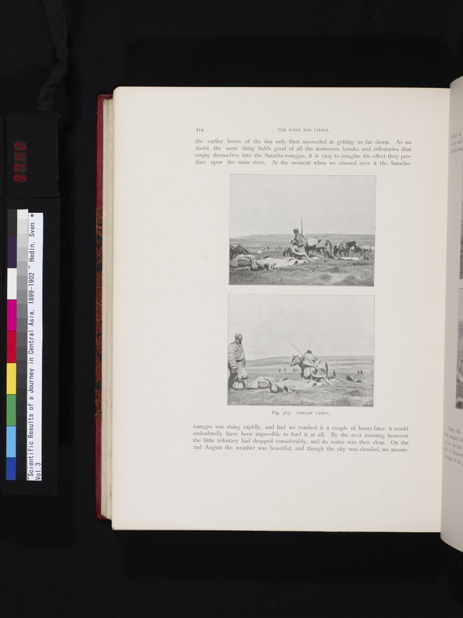 Scientific Results of a Journey in Central Asia, 1899-1902 : vol.3 / Page 742 (Color Image)