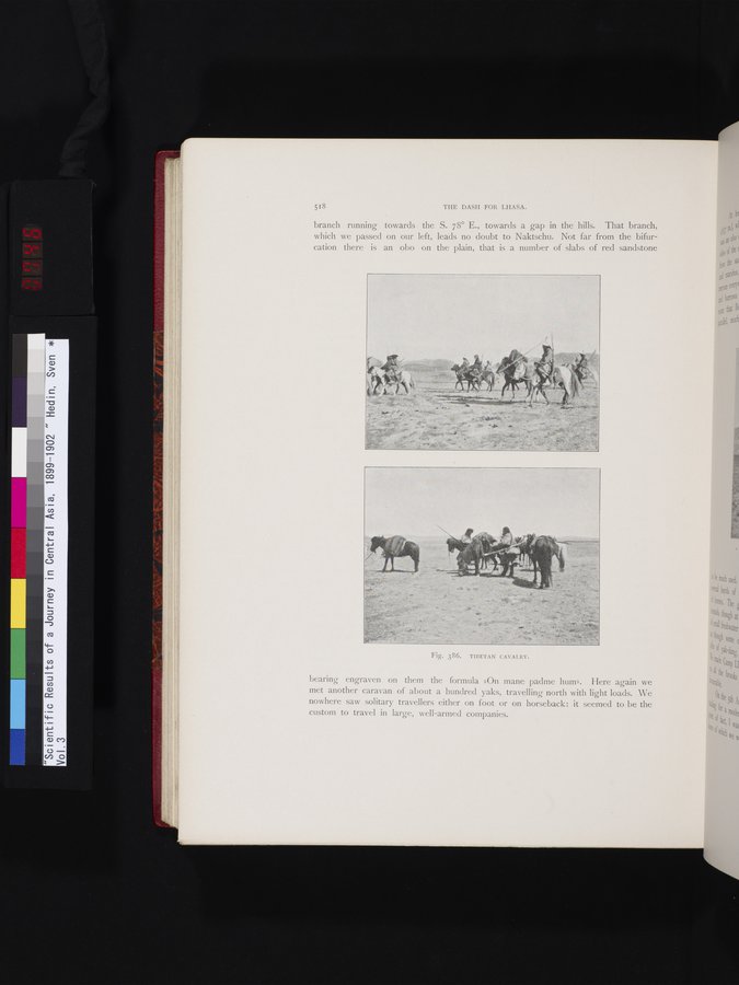 Scientific Results of a Journey in Central Asia, 1899-1902 : vol.3 / 746 ページ（カラー画像）