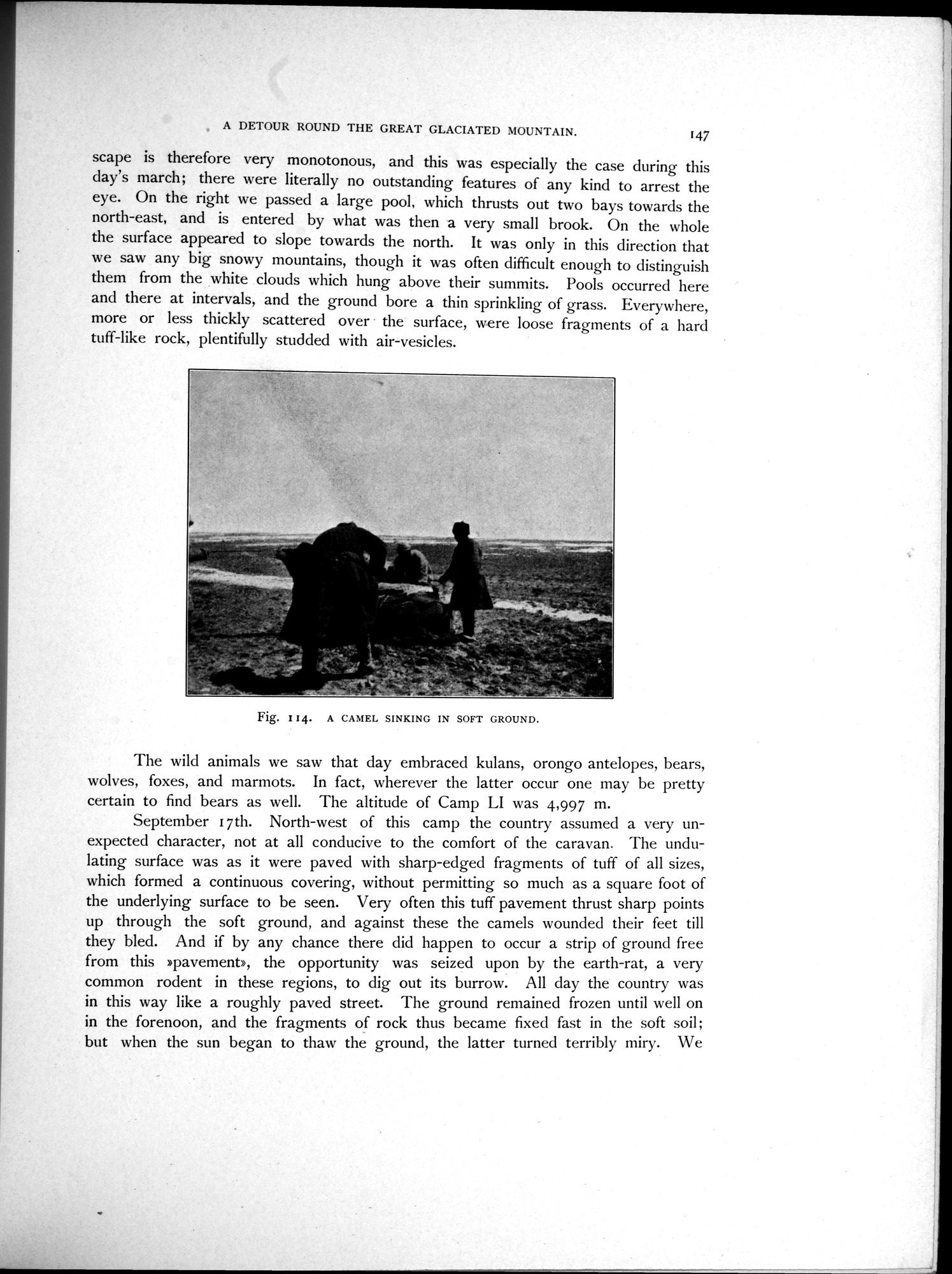 Scientific Results of a Journey in Central Asia, 1899-1902 : vol.3 / Page 221 (Grayscale High Resolution Image)