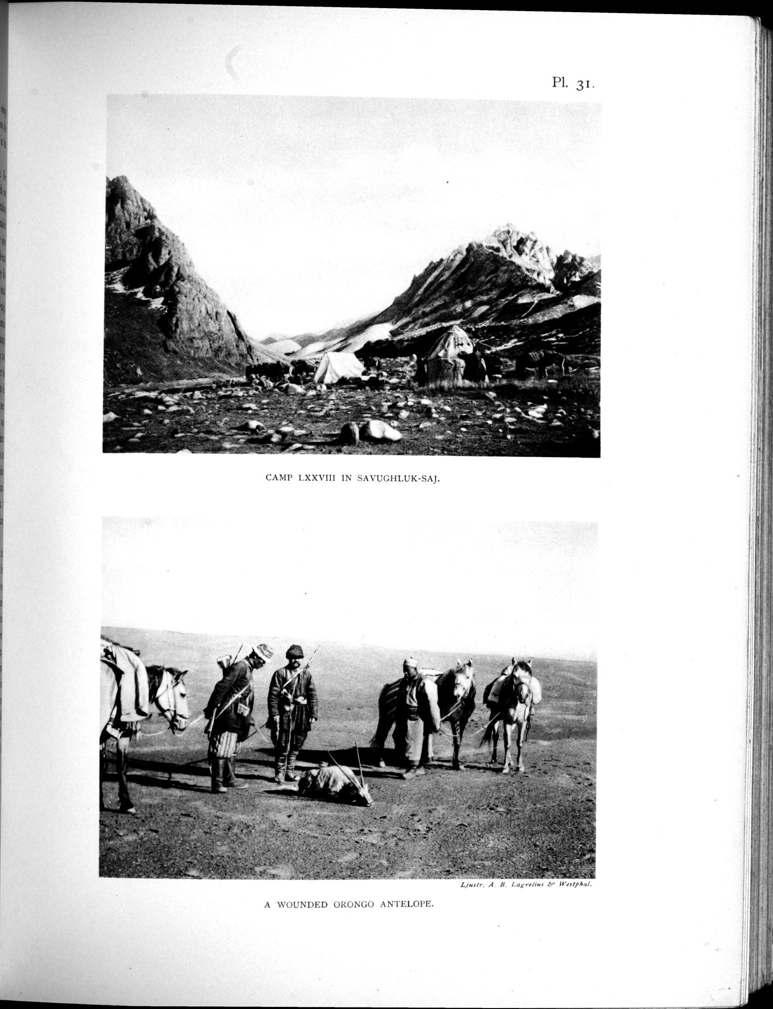 Scientific Results of a Journey in Central Asia, 1899-1902 : vol.3 / 311 ページ（白黒高解像度画像）