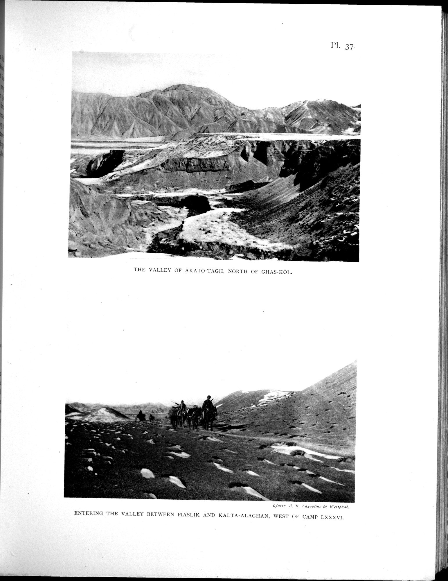 Scientific Results of a Journey in Central Asia, 1899-1902 : vol.3 / 345 ページ（白黒高解像度画像）