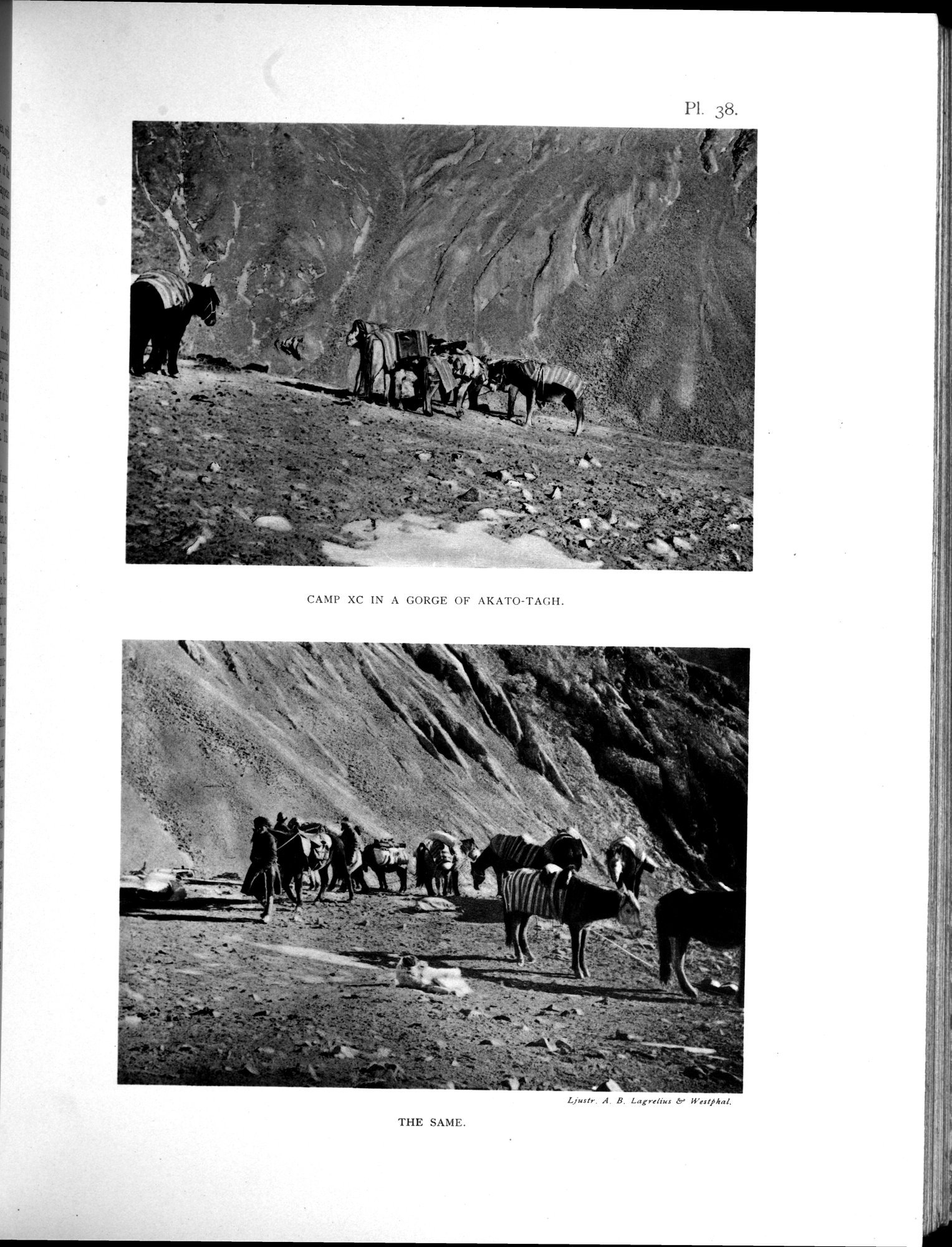 Scientific Results of a Journey in Central Asia, 1899-1902 : vol.3 / 357 ページ（白黒高解像度画像）