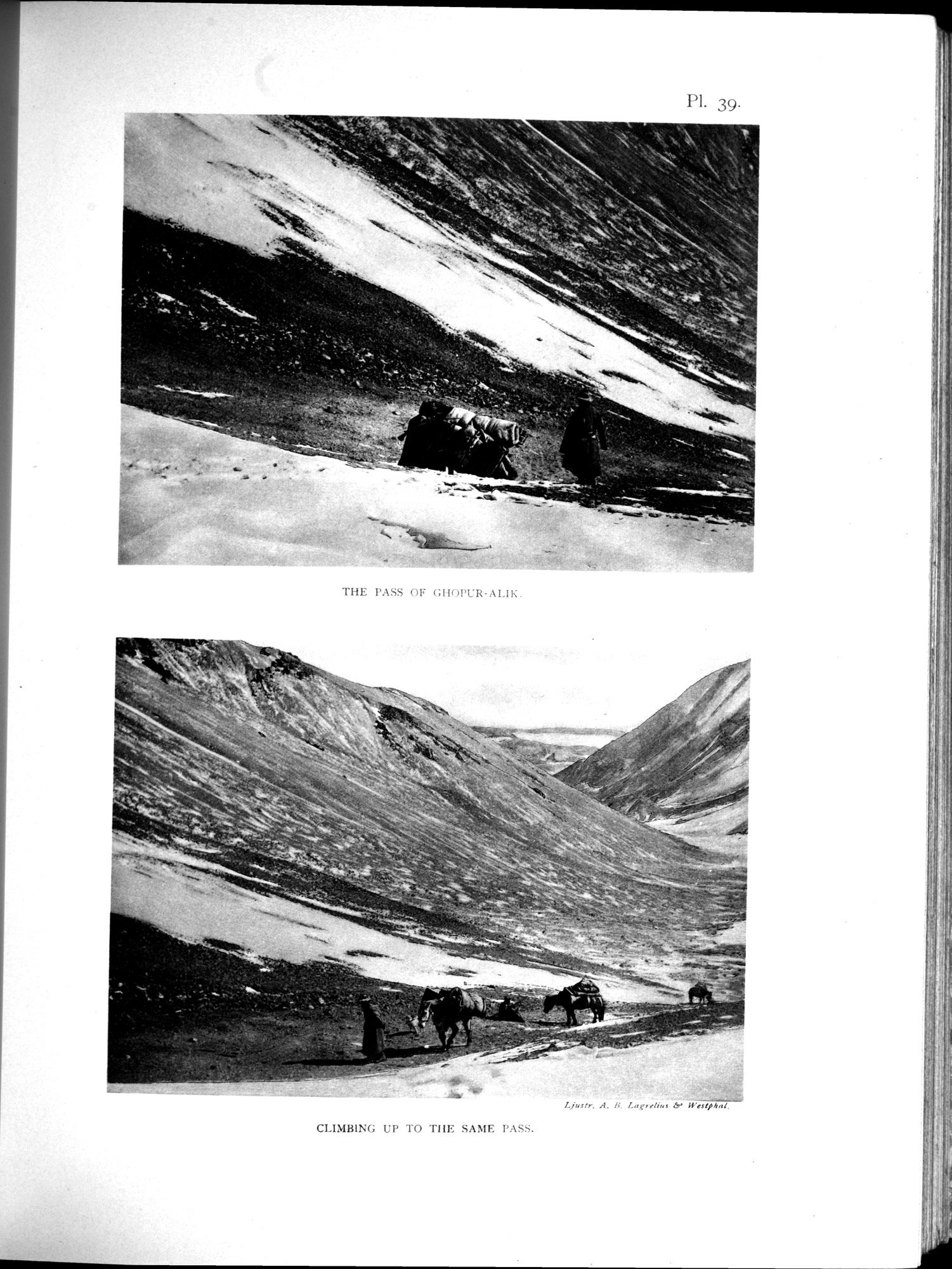 Scientific Results of a Journey in Central Asia, 1899-1902 : vol.3 / 359 ページ（白黒高解像度画像）
