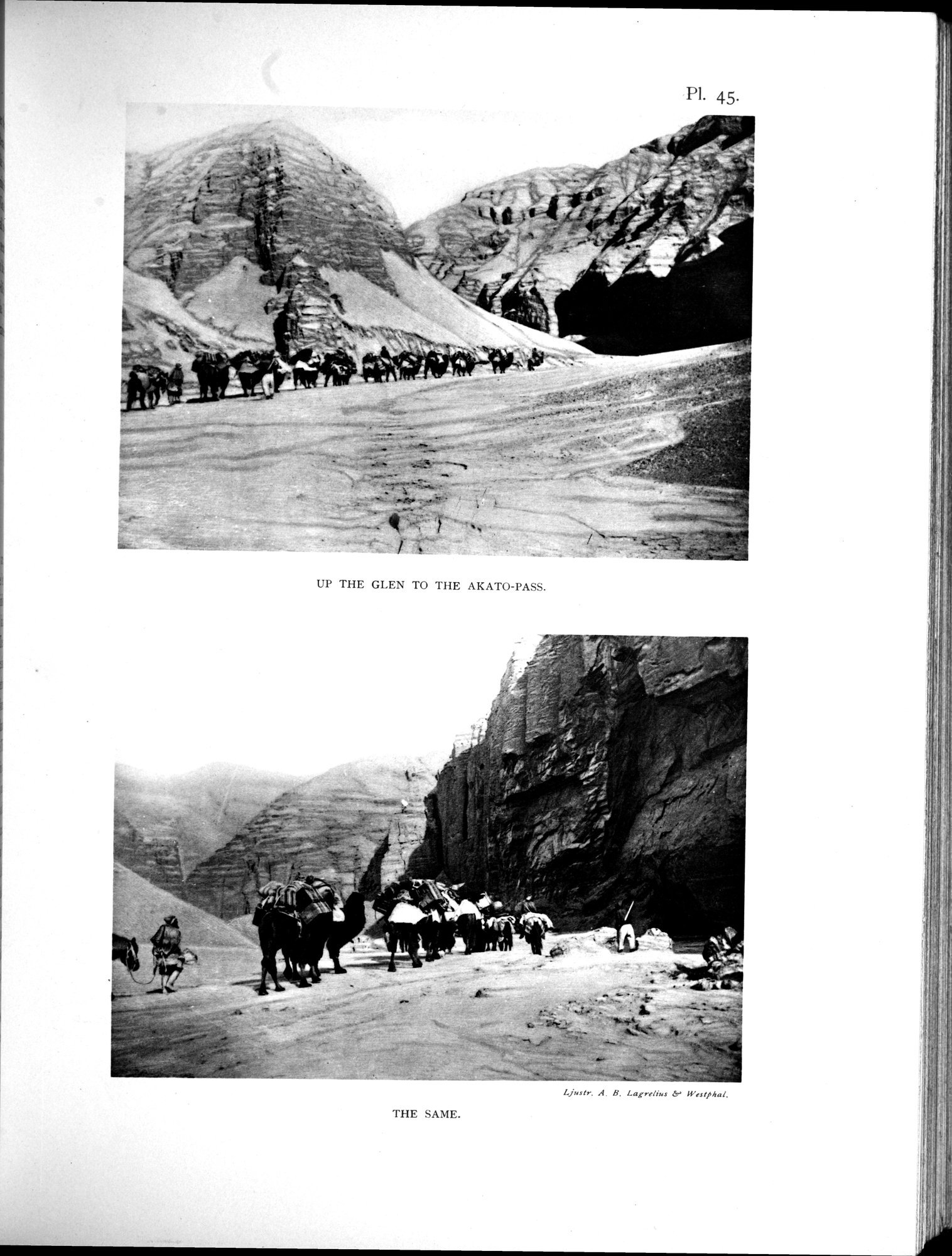 Scientific Results of a Journey in Central Asia, 1899-1902 : vol.3 / 405 ページ（白黒高解像度画像）