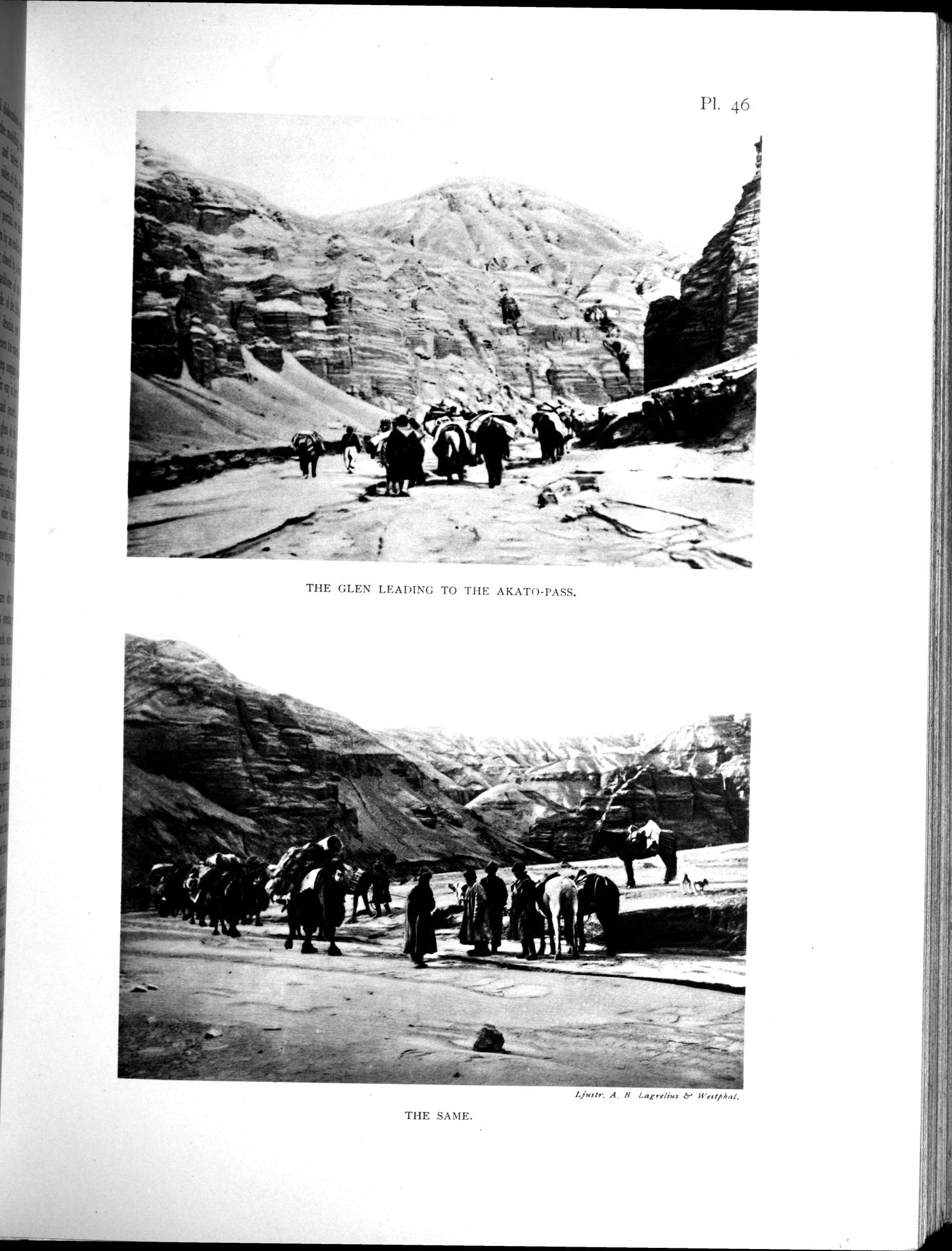 Scientific Results of a Journey in Central Asia, 1899-1902 : vol.3 / 411 ページ（白黒高解像度画像）