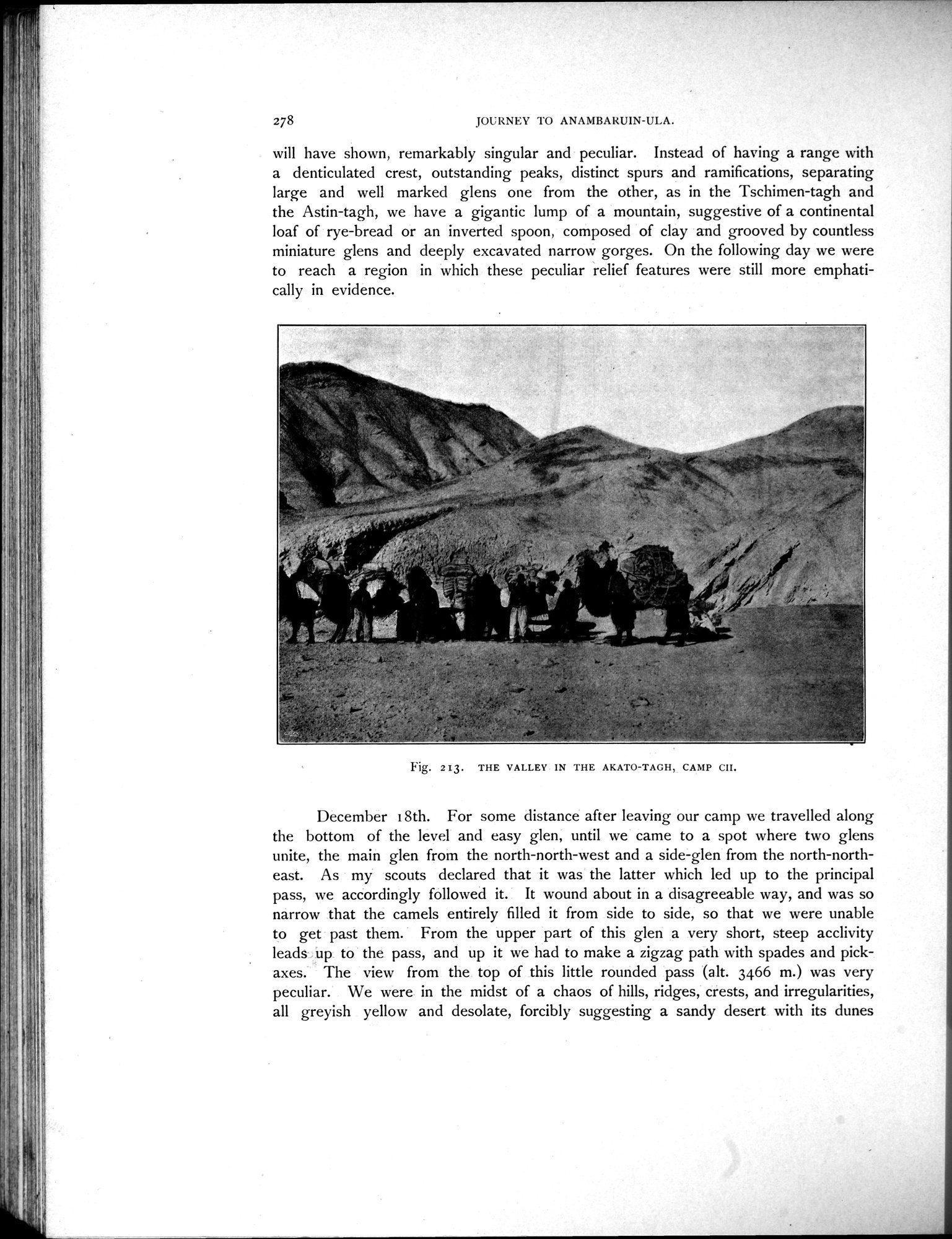 Scientific Results of a Journey in Central Asia, 1899-1902 : vol.3 / Page 414 (Grayscale High Resolution Image)