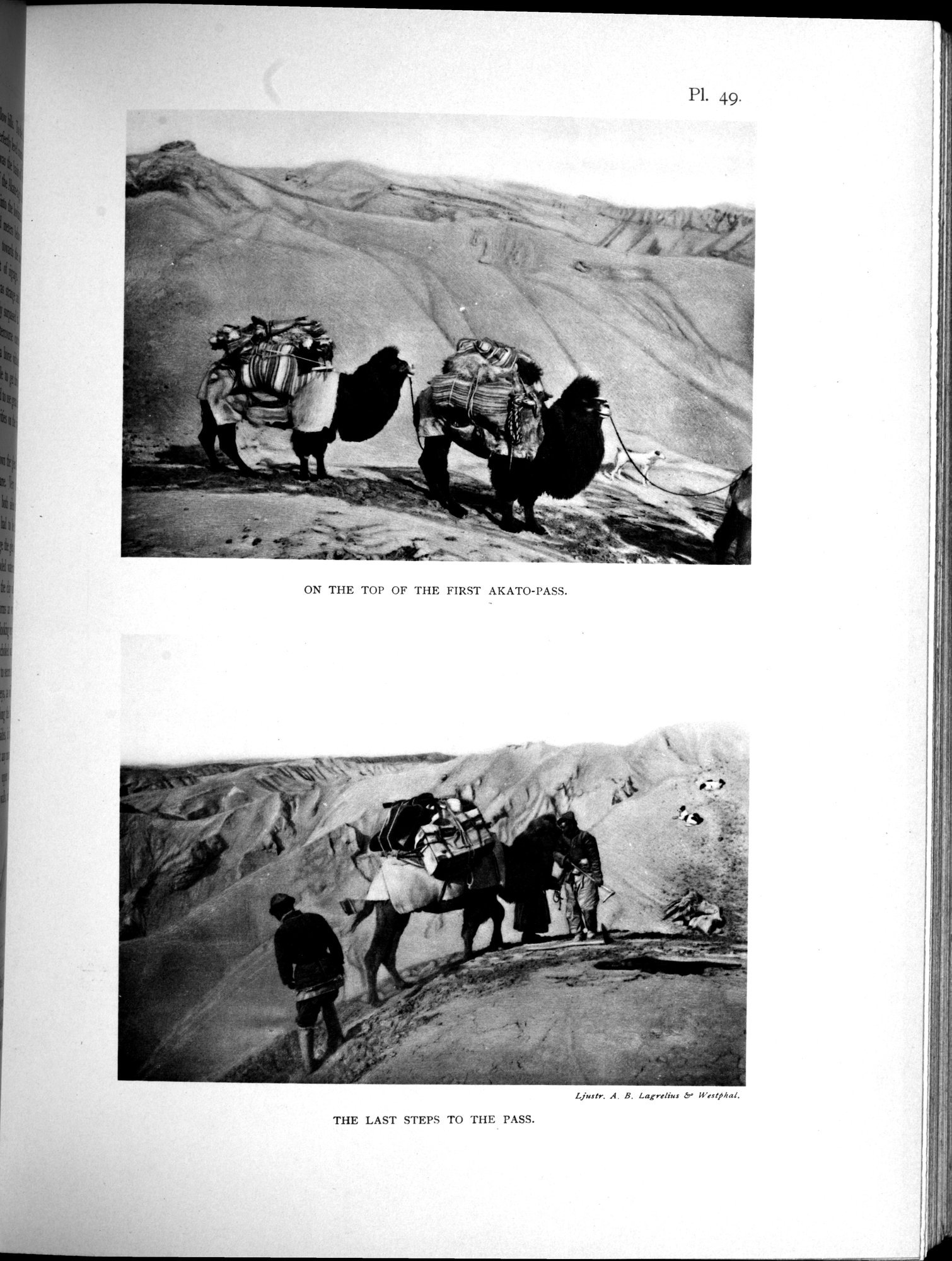 Scientific Results of a Journey in Central Asia, 1899-1902 : vol.3 / 421 ページ（白黒高解像度画像）