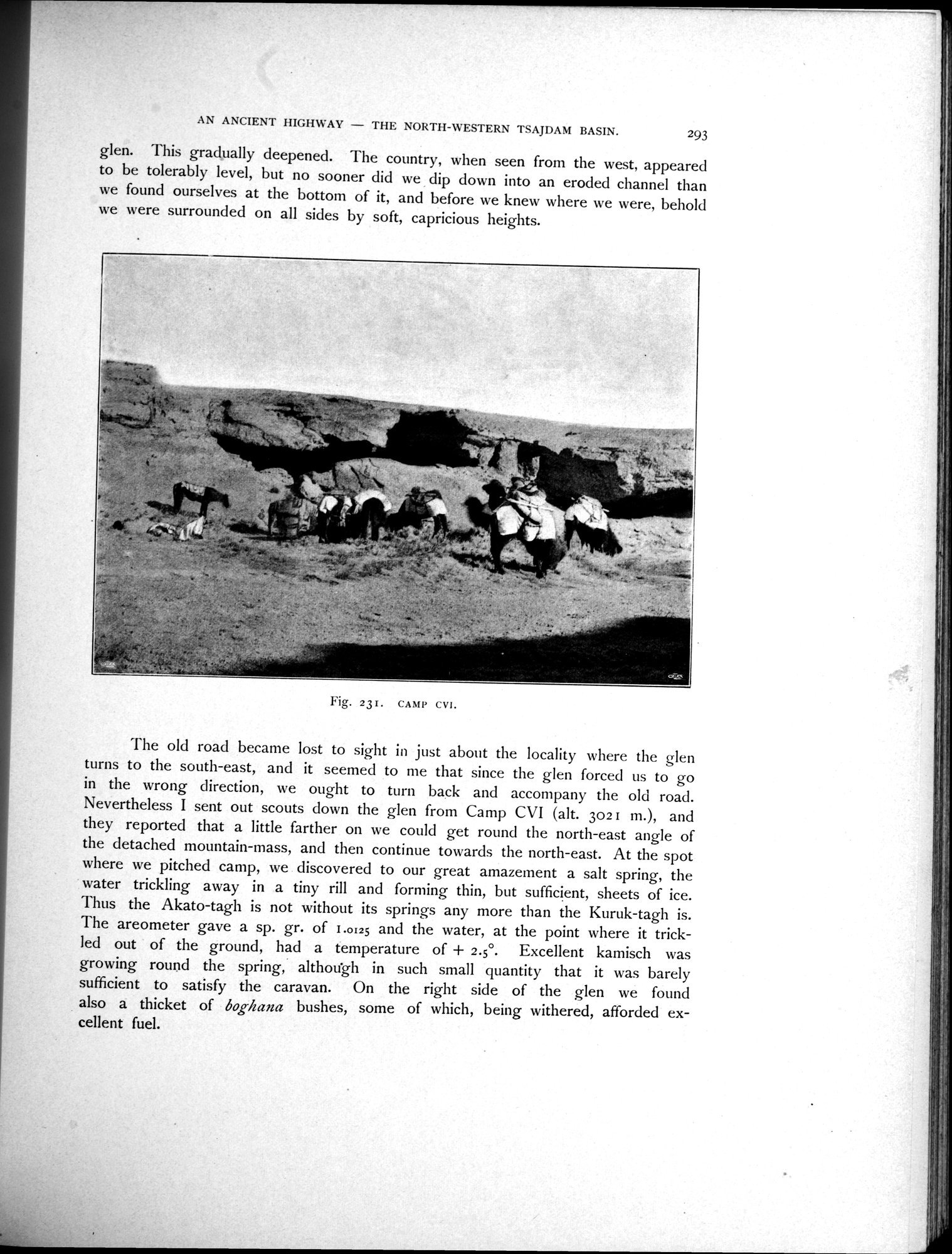 Scientific Results of a Journey in Central Asia, 1899-1902 : vol.3 / 443 ページ（白黒高解像度画像）