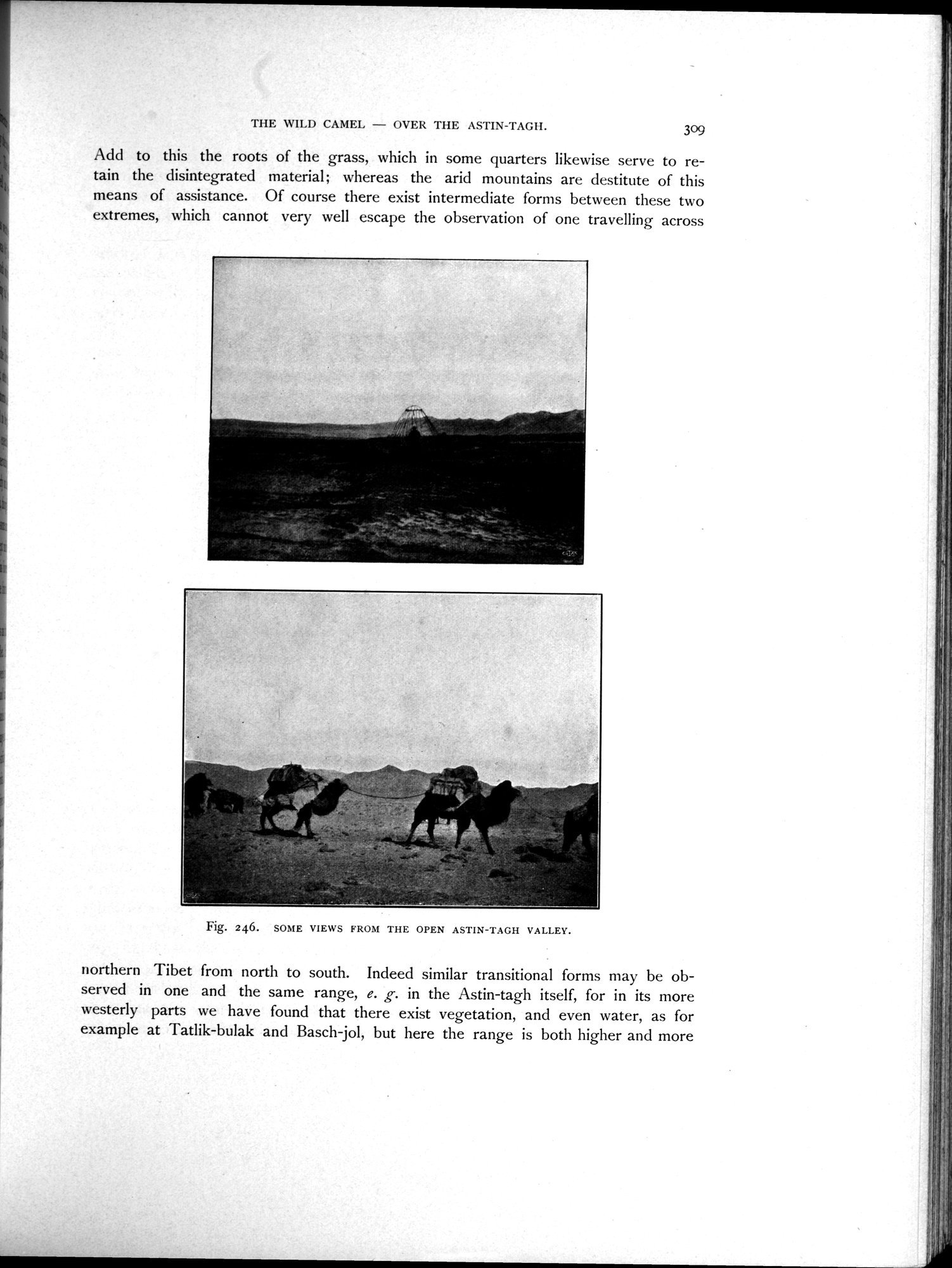 Scientific Results of a Journey in Central Asia, 1899-1902 : vol.3 / Page 463 (Grayscale High Resolution Image)