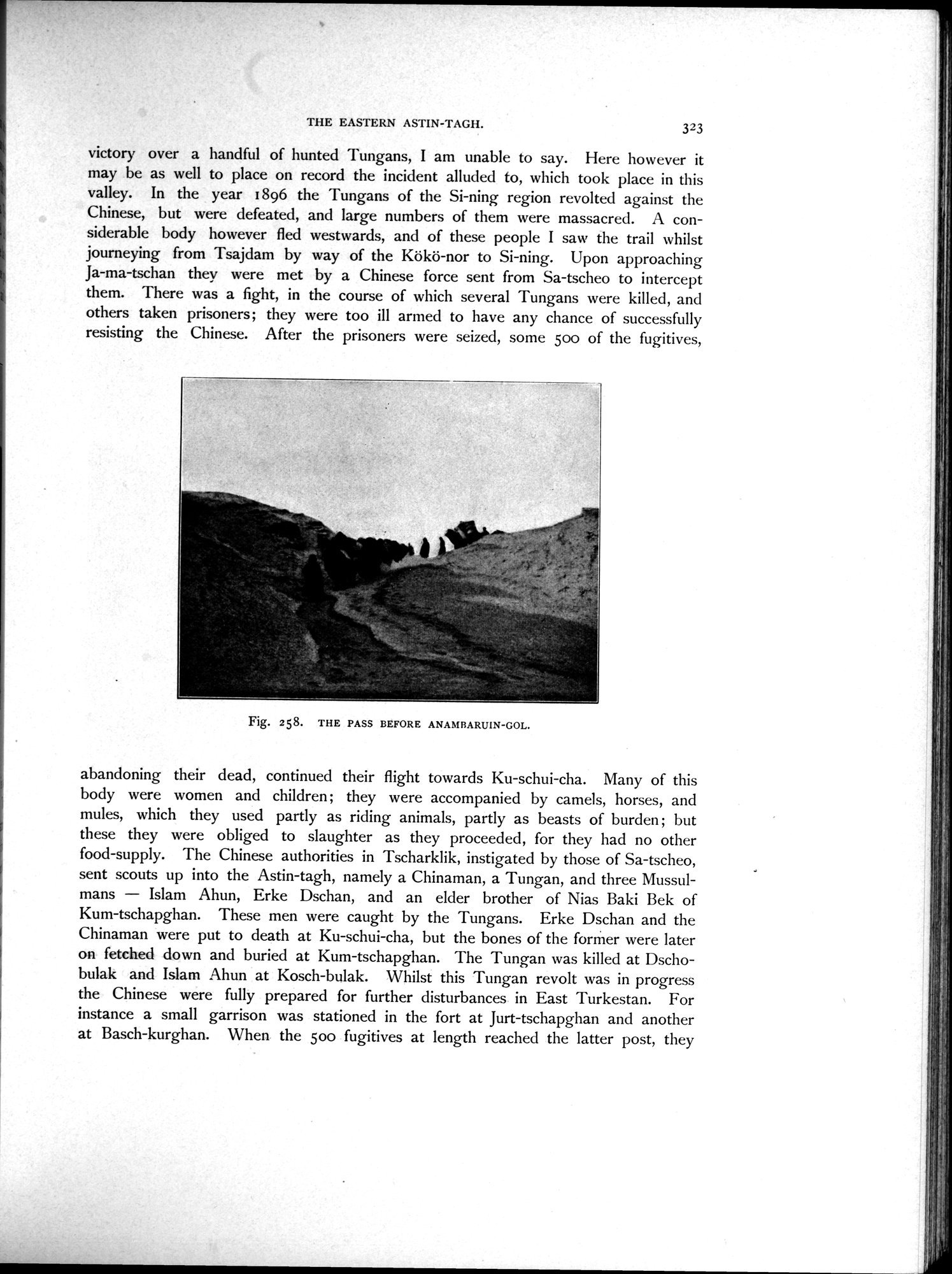 Scientific Results of a Journey in Central Asia, 1899-1902 : vol.3 / 477 ページ（白黒高解像度画像）