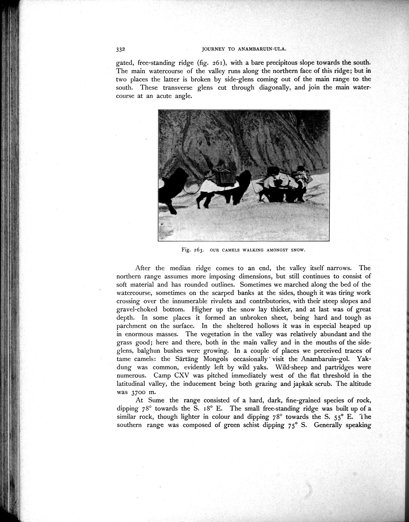 Scientific Results of a Journey in Central Asia, 1899-1902 : vol.3 / 488 ページ（白黒高解像度画像）