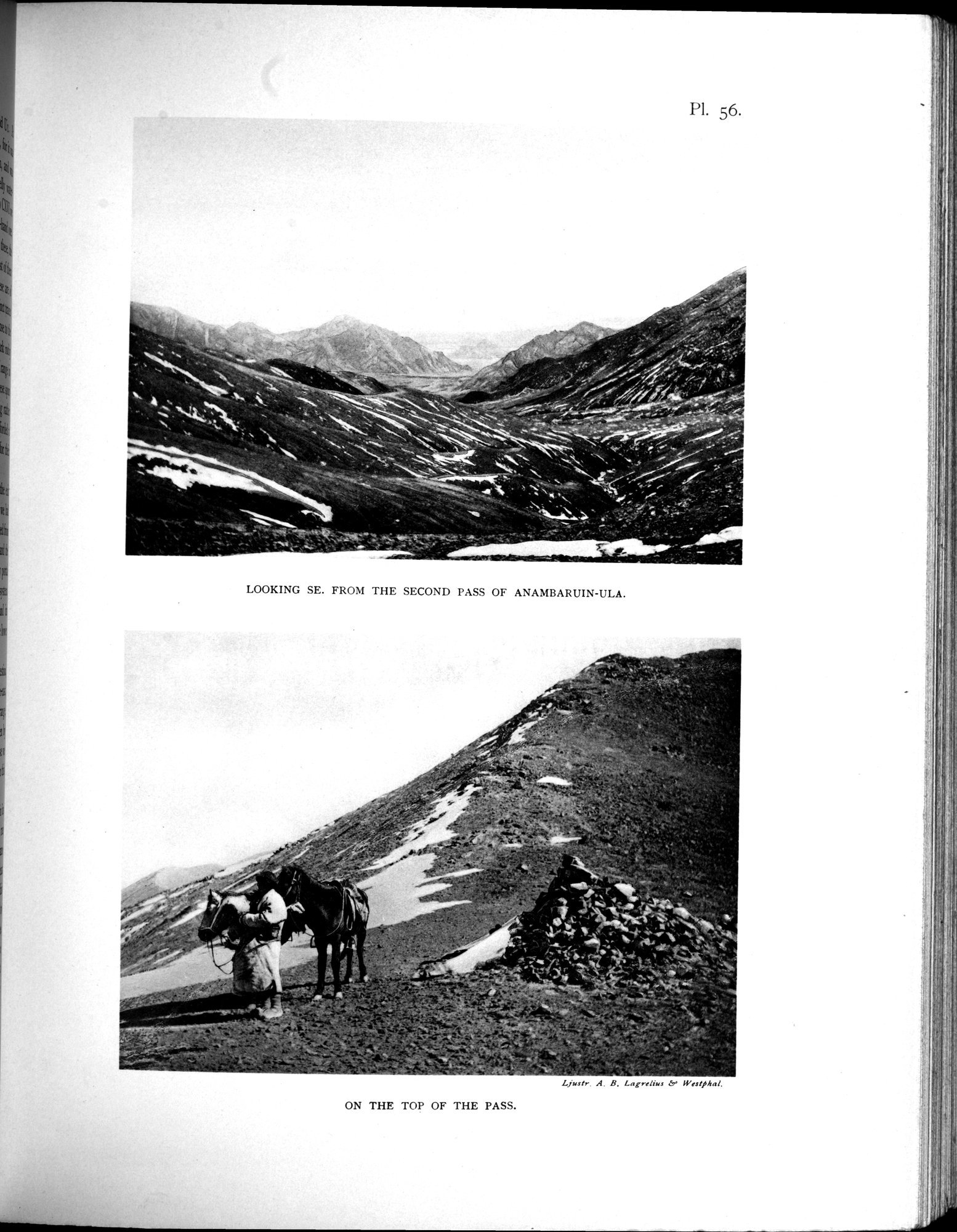 Scientific Results of a Journey in Central Asia, 1899-1902 : vol.3 / 493 ページ（白黒高解像度画像）