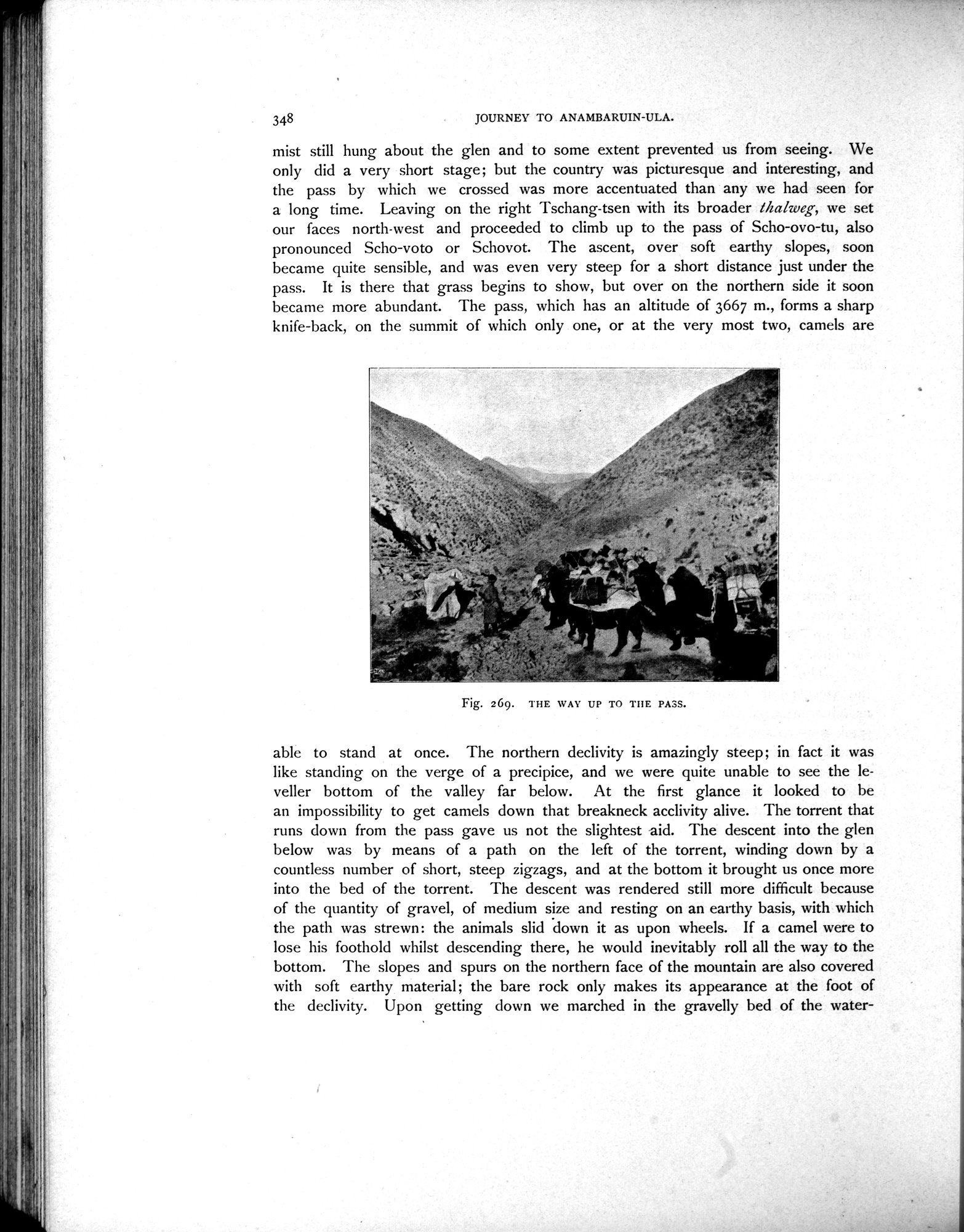 Scientific Results of a Journey in Central Asia, 1899-1902 : vol.3 / 506 ページ（白黒高解像度画像）