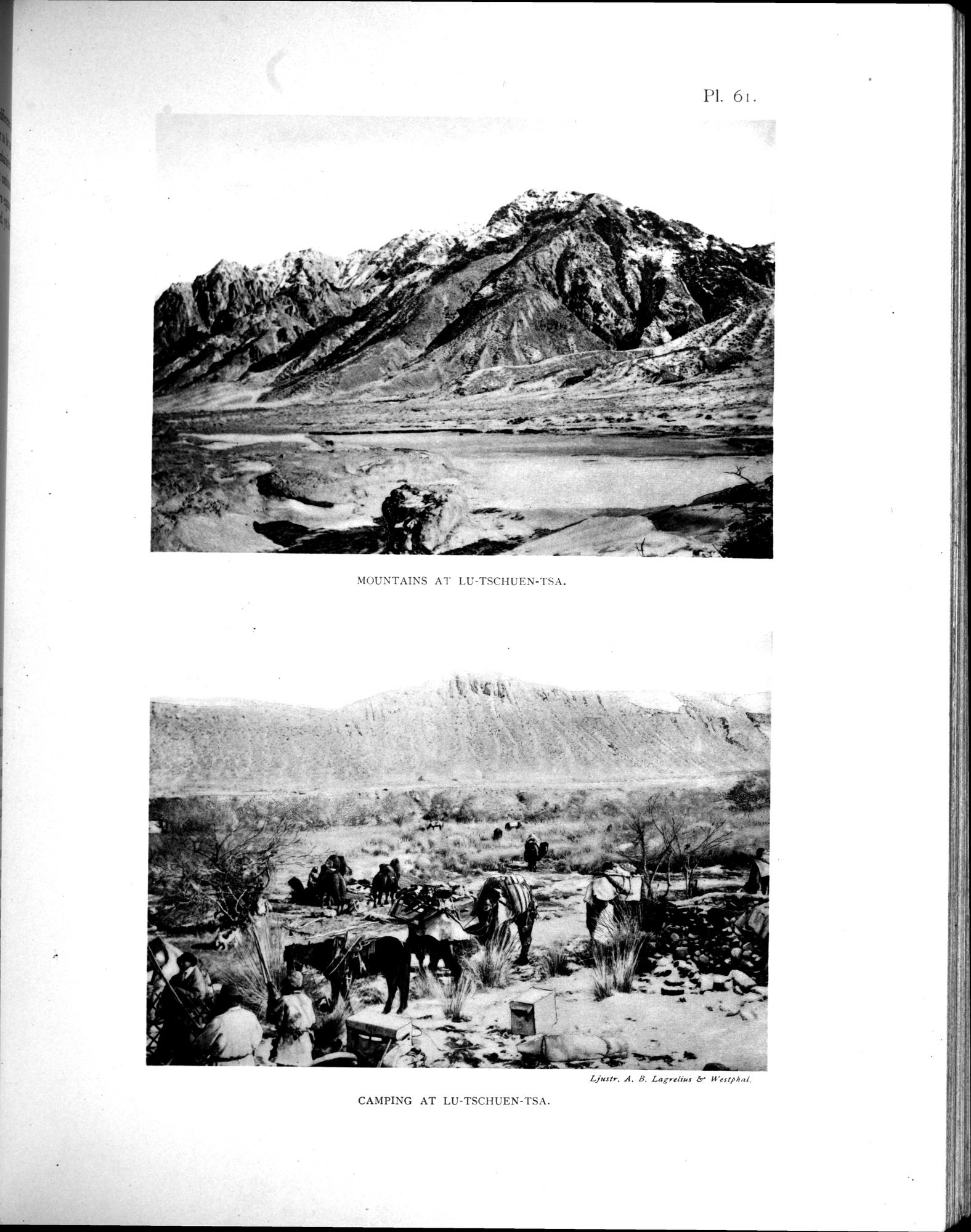 Scientific Results of a Journey in Central Asia, 1899-1902 : vol.3 / 539 ページ（白黒高解像度画像）