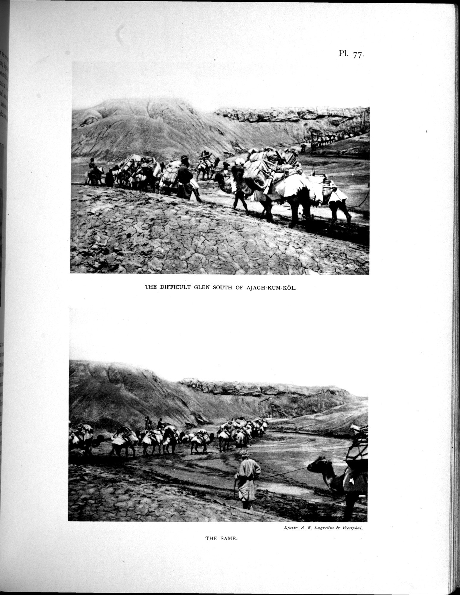Scientific Results of a Journey in Central Asia, 1899-1902 : vol.3 / 621 ページ（白黒高解像度画像）
