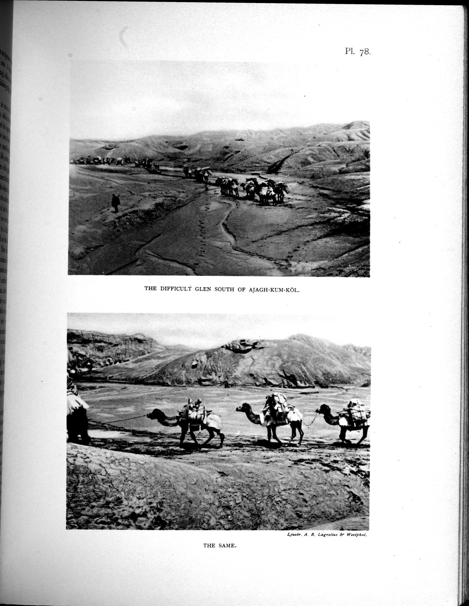 Scientific Results of a Journey in Central Asia, 1899-1902 : vol.3 / Page 625 (Grayscale High Resolution Image)