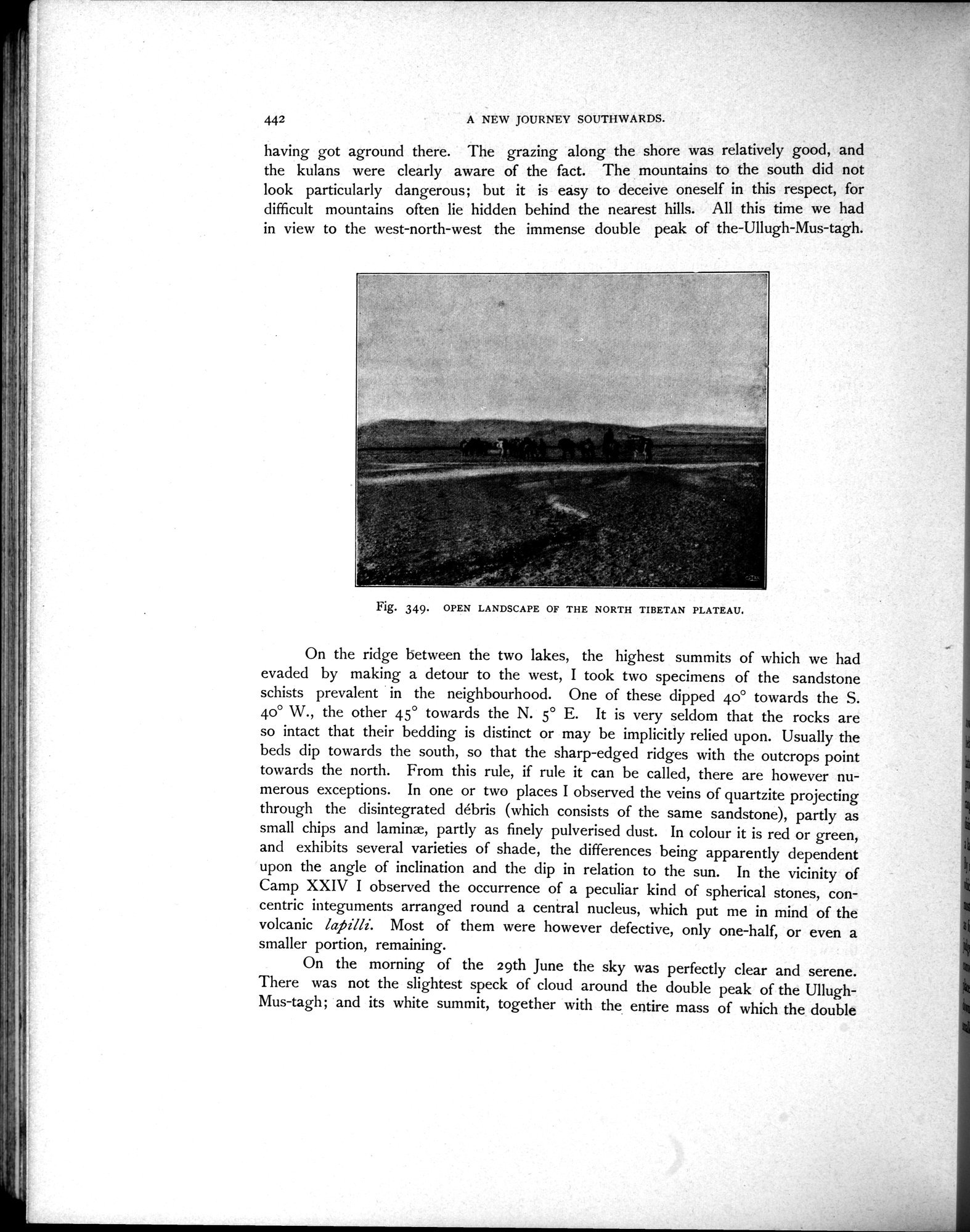 Scientific Results of a Journey in Central Asia, 1899-1902 : vol.3 / Page 650 (Grayscale High Resolution Image)