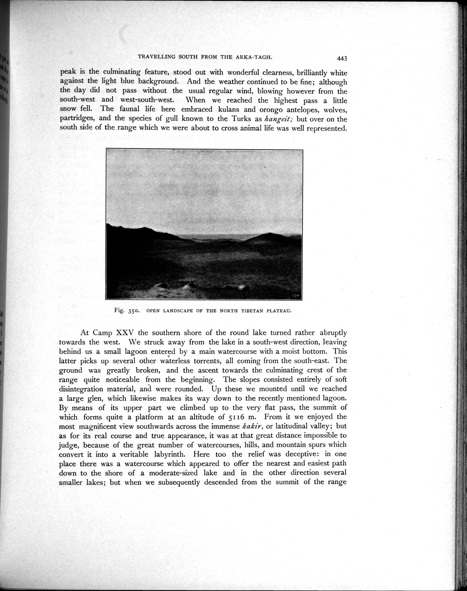 Scientific Results of a Journey in Central Asia, 1899-1902 : vol.3 / Page 651 (Grayscale High Resolution Image)