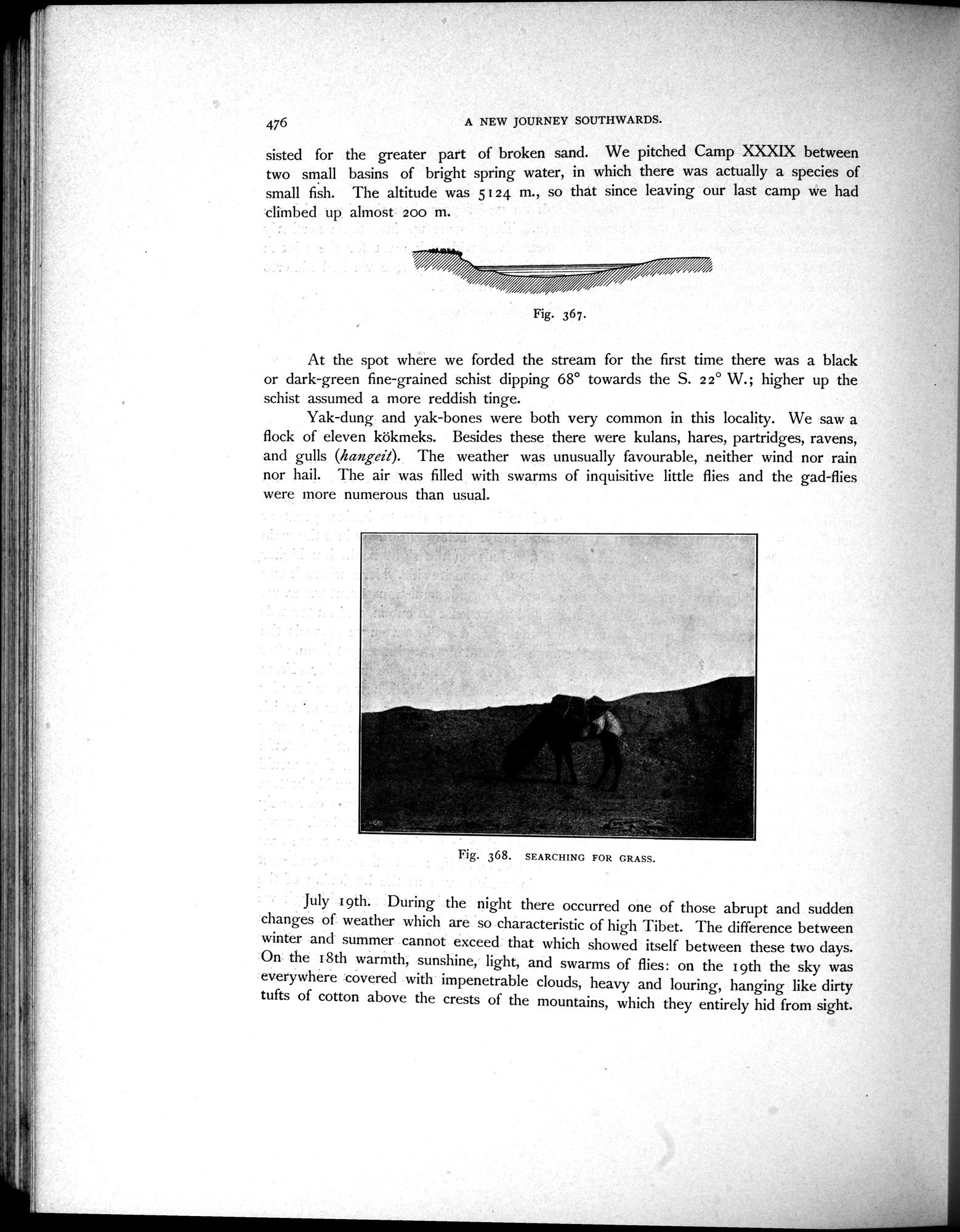 Scientific Results of a Journey in Central Asia, 1899-1902 : vol.3 / Page 692 (Grayscale High Resolution Image)