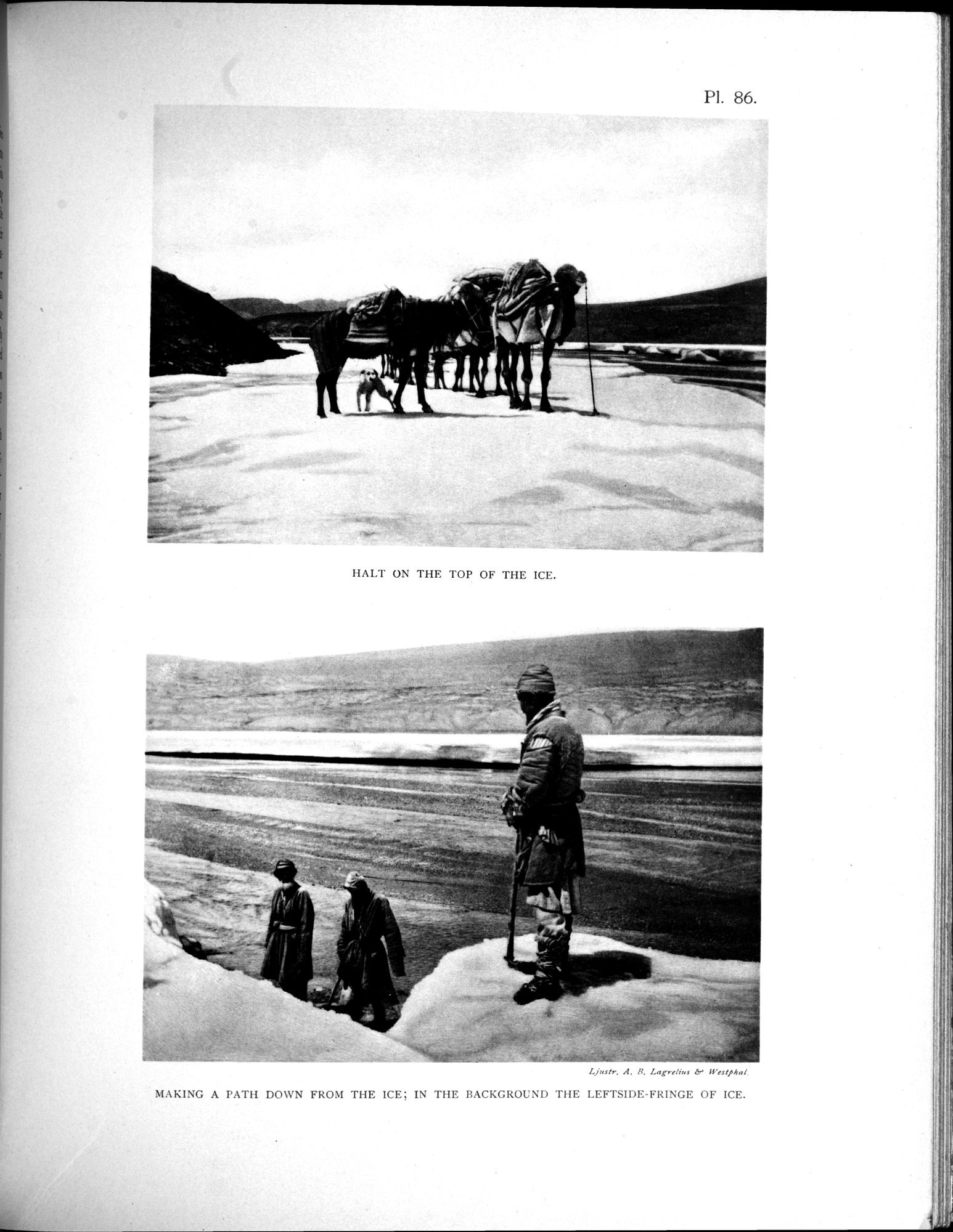 Scientific Results of a Journey in Central Asia, 1899-1902 : vol.3 / 715 ページ（白黒高解像度画像）