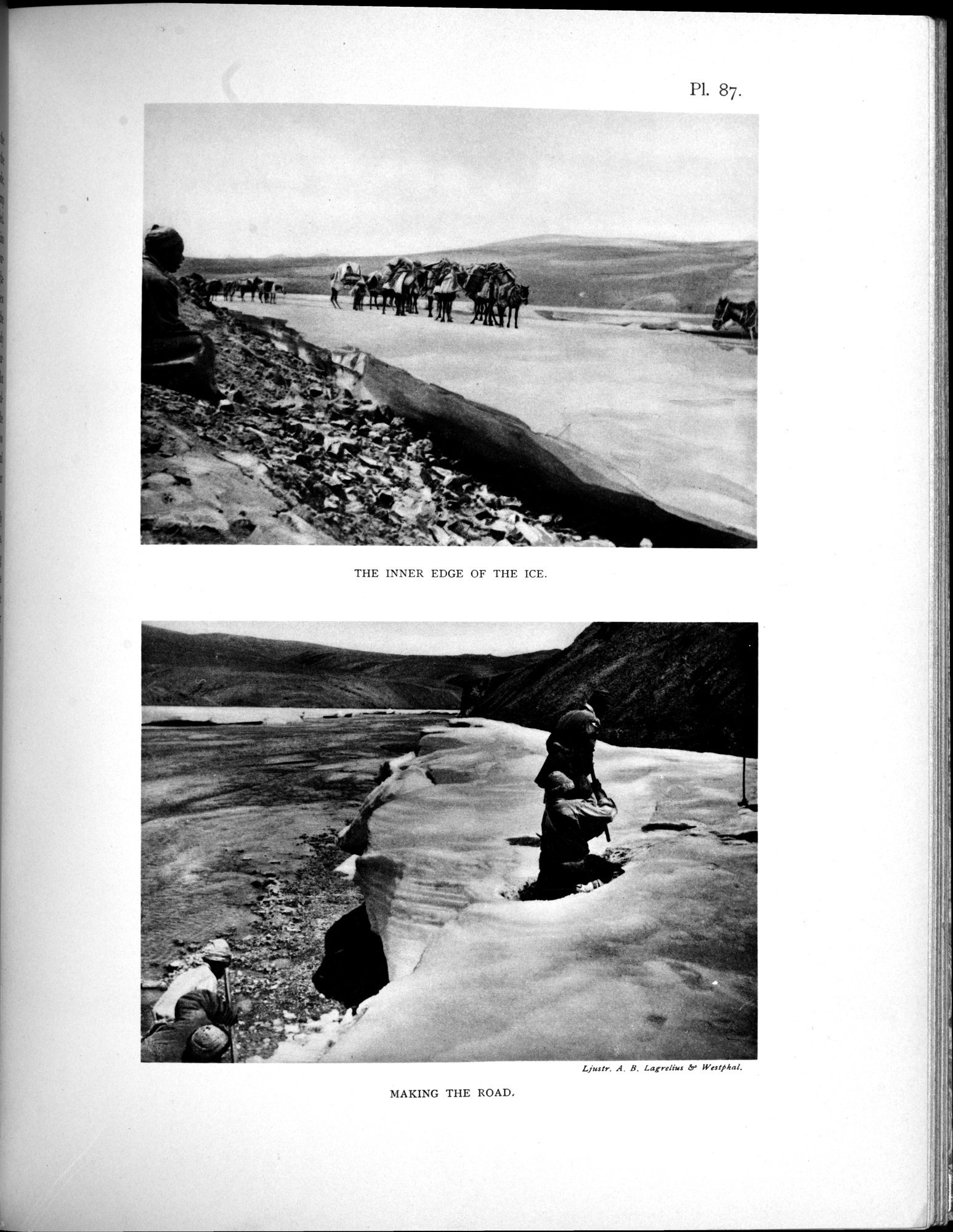 Scientific Results of a Journey in Central Asia, 1899-1902 : vol.3 / 719 ページ（白黒高解像度画像）