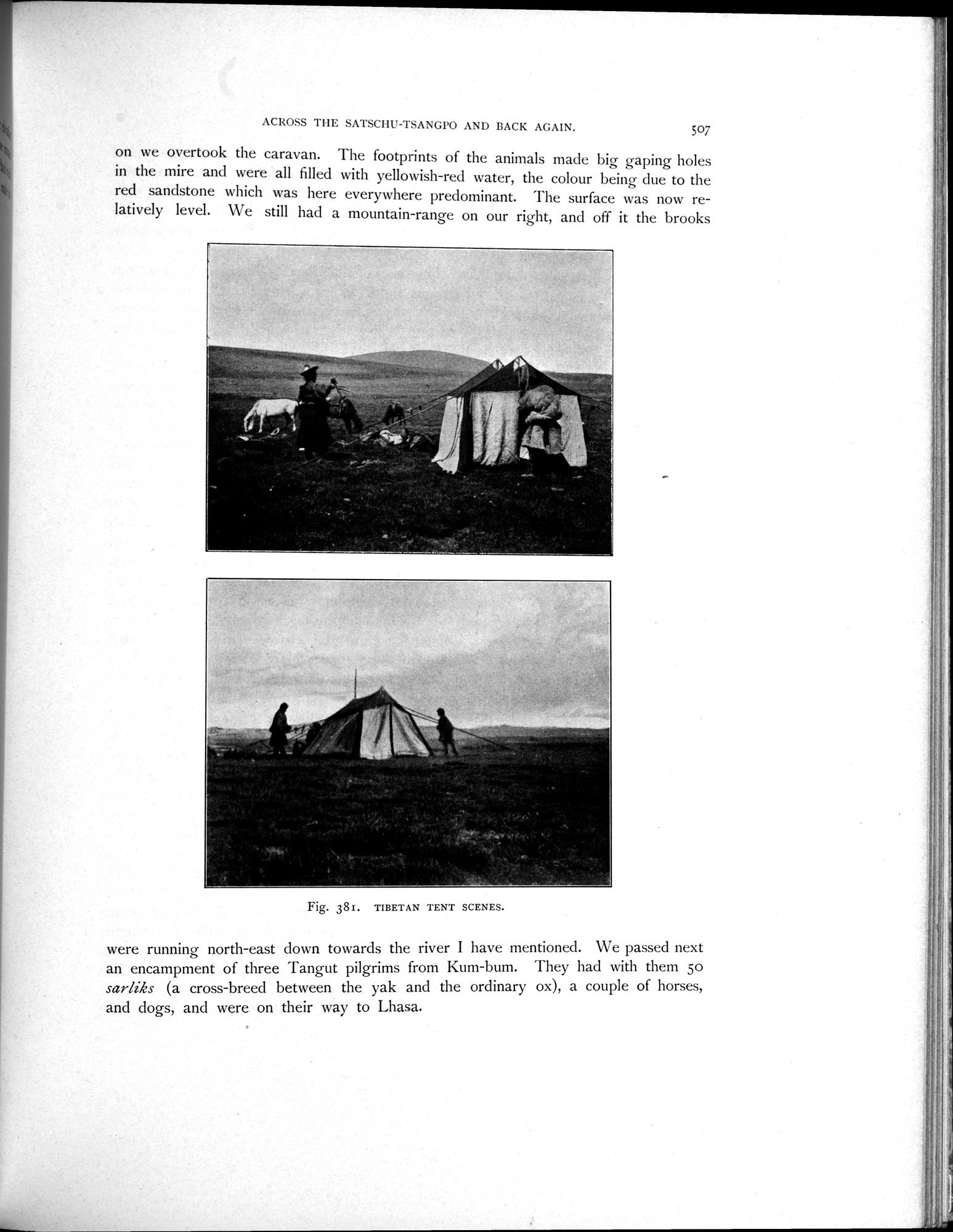 Scientific Results of a Journey in Central Asia, 1899-1902 : vol.3 / 735 ページ（白黒高解像度画像）