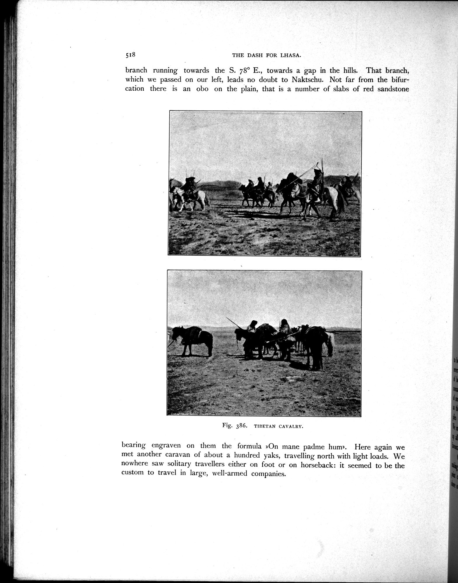 Scientific Results of a Journey in Central Asia, 1899-1902 : vol.3 / Page 746 (Grayscale High Resolution Image)
