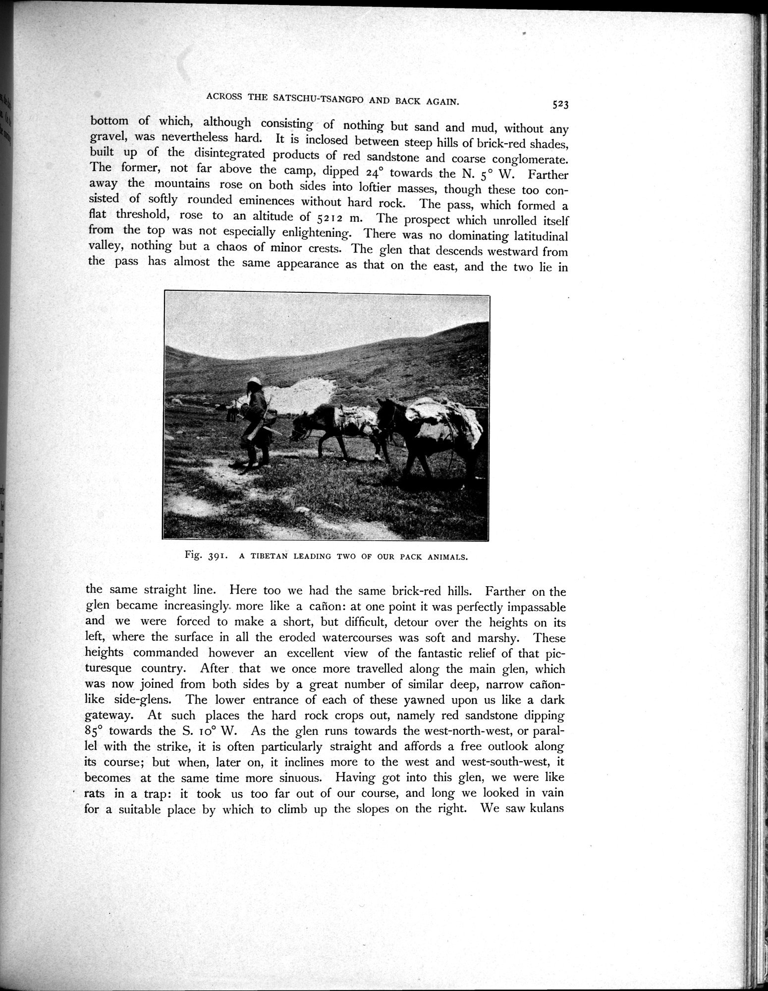 Scientific Results of a Journey in Central Asia, 1899-1902 : vol.3 / Page 751 (Grayscale High Resolution Image)