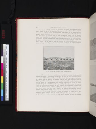 Scientific Results of a Journey in Central Asia, 1899-1902 : vol.4 : Page 64