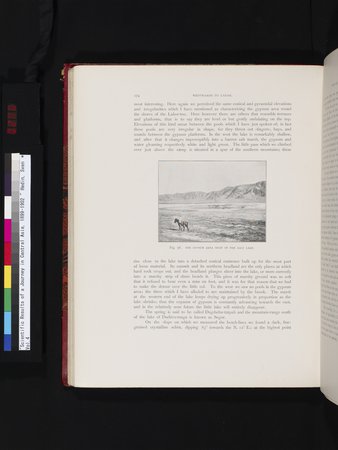 Scientific Results of a Journey in Central Asia, 1899-1902 : vol.4 : Page 256