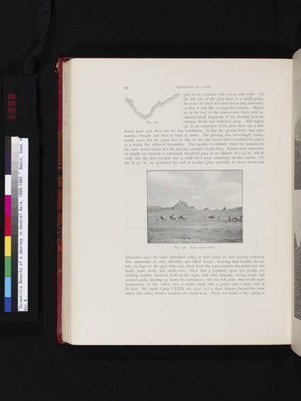 Scientific Results of a Journey in Central Asia, 1899-1902 : vol.4 : Page 338