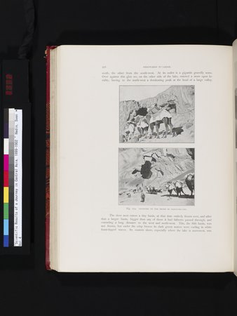 Scientific Results of a Journey in Central Asia, 1899-1902 : vol.4 : Page 392