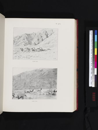 Scientific Results of a Journey in Central Asia, 1899-1902 : vol.4 : Page 407