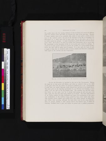 Scientific Results of a Journey in Central Asia, 1899-1902 : vol.4 : Page 434