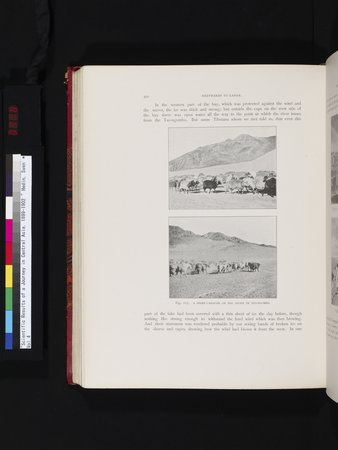 Scientific Results of a Journey in Central Asia, 1899-1902 : vol.4 : Page 438