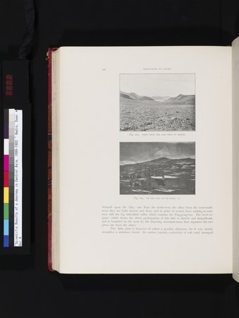 Scientific Results of a Journey in Central Asia, 1899-1902 : vol.4 : Page 482