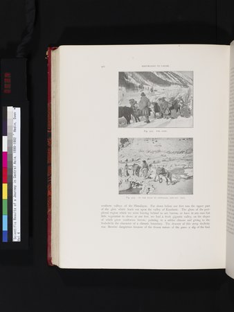 Scientific Results of a Journey in Central Asia, 1899-1902 : vol.4 : Page 534